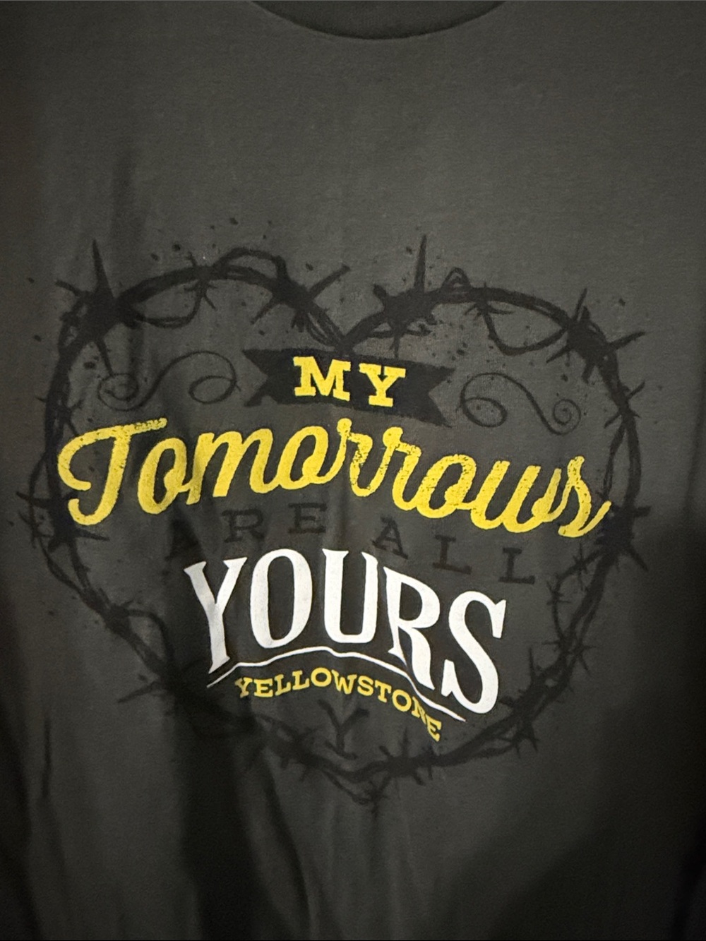 Yellowstone Men's Short-Sleeve Graphic Tee in Dark Gray - Picture 3 of 4